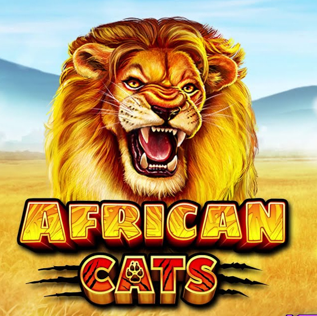 African Cats