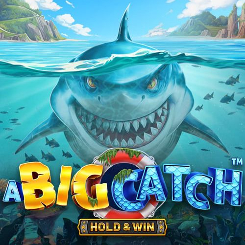 Big Catch: Hold and Win